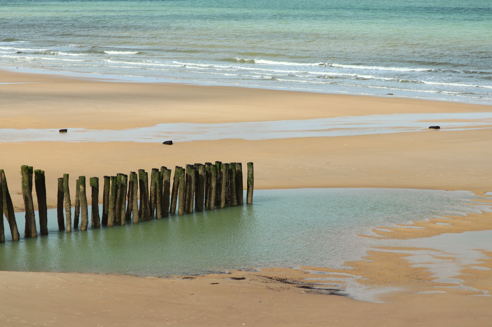 Plongée sous-marine en France : sites, niveaux, coûts et ce que les brochures taisent