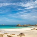 Bretagne : sécheresse, échouages et alerte côtière