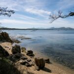 Cagnes-sur-Mer : la droite locale bascule vers Cannes