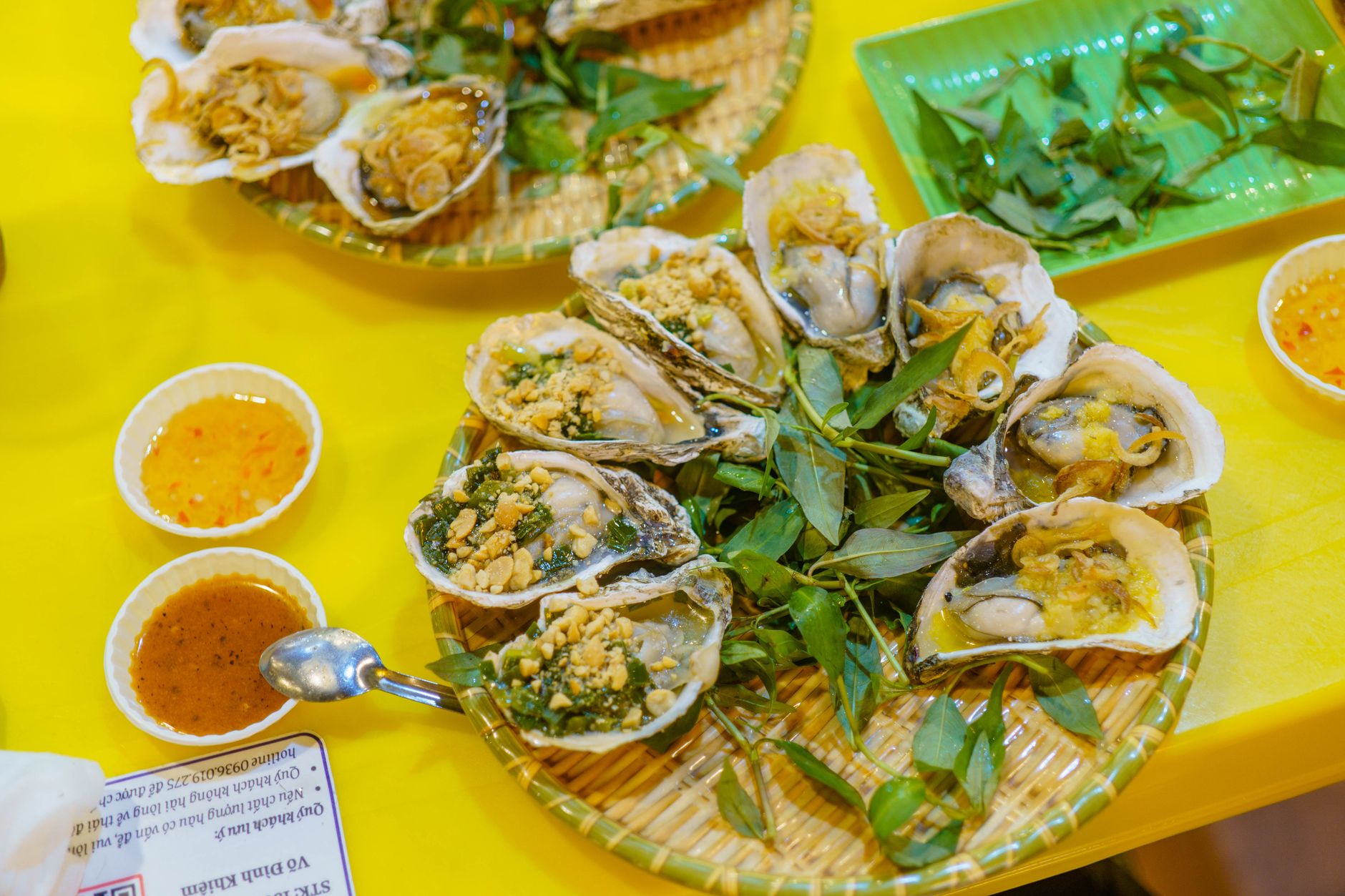 Coquillages du littoral : ce que vous ne saviez pas ramasser