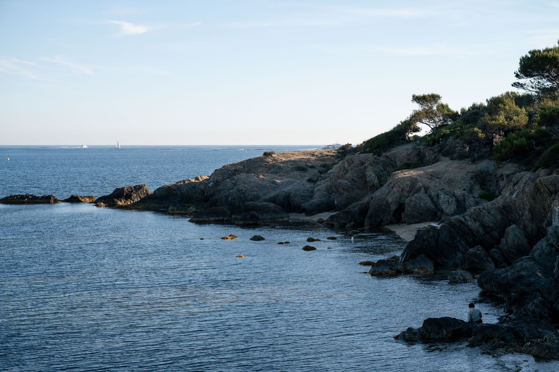 Hyères : la chasse au canard divise la plage