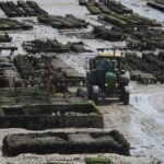 Isigny-sur-Mer ancre son projet culturel à l&rsquo;économie côtière
