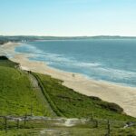 L’A8 saturée : quand l’autoroute étouffe le littoral
