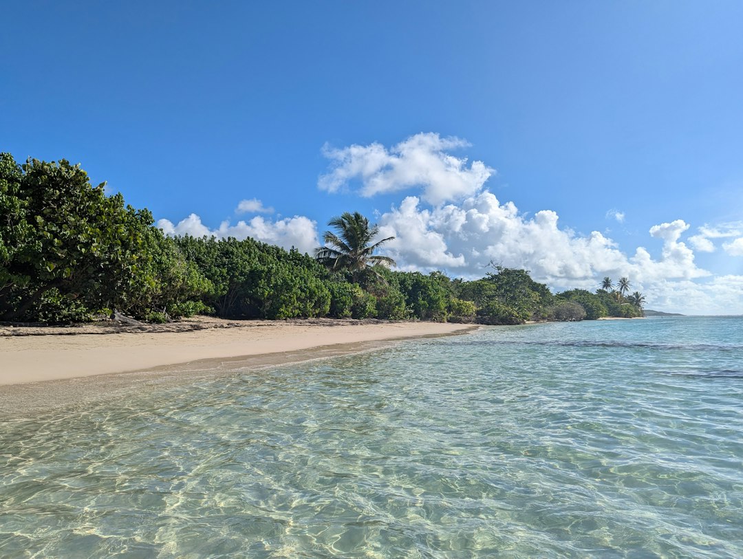 Le Gosier en automne : plages calmes et authenticité retrouvée