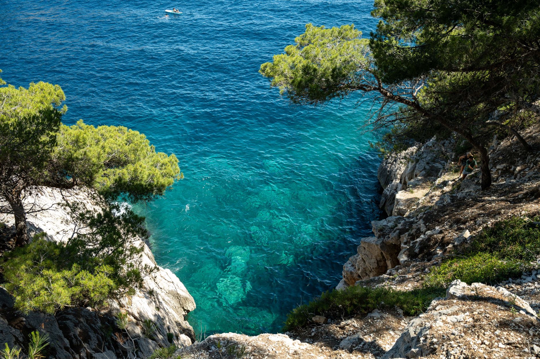 Le Las, le fleuve caché de Toulon qui fascine les naturalistes