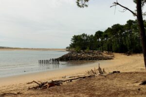 Le littoral en hiver : pourquoi y aller et ce qu&rsquo;on y trouve vraiment