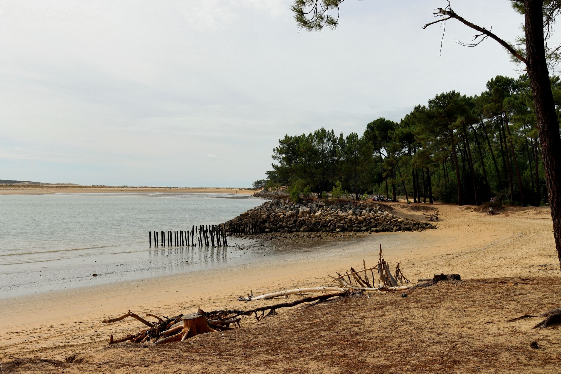 Le littoral en hiver : pourquoi y aller et ce qu&rsquo;on y trouve vraiment