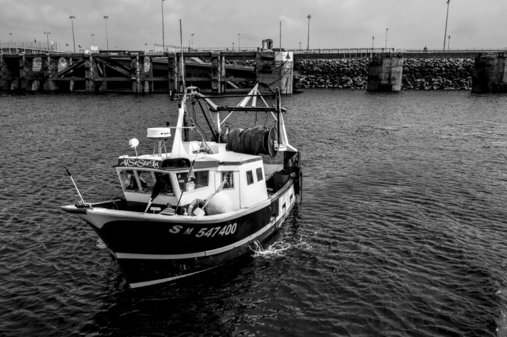 Pêche en bord de mer : connaître les règles essentielles