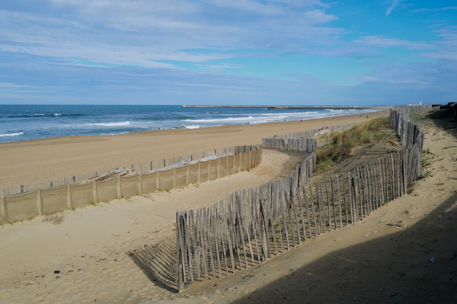 Anglet : les dunes, rempart vivant du littoral basque