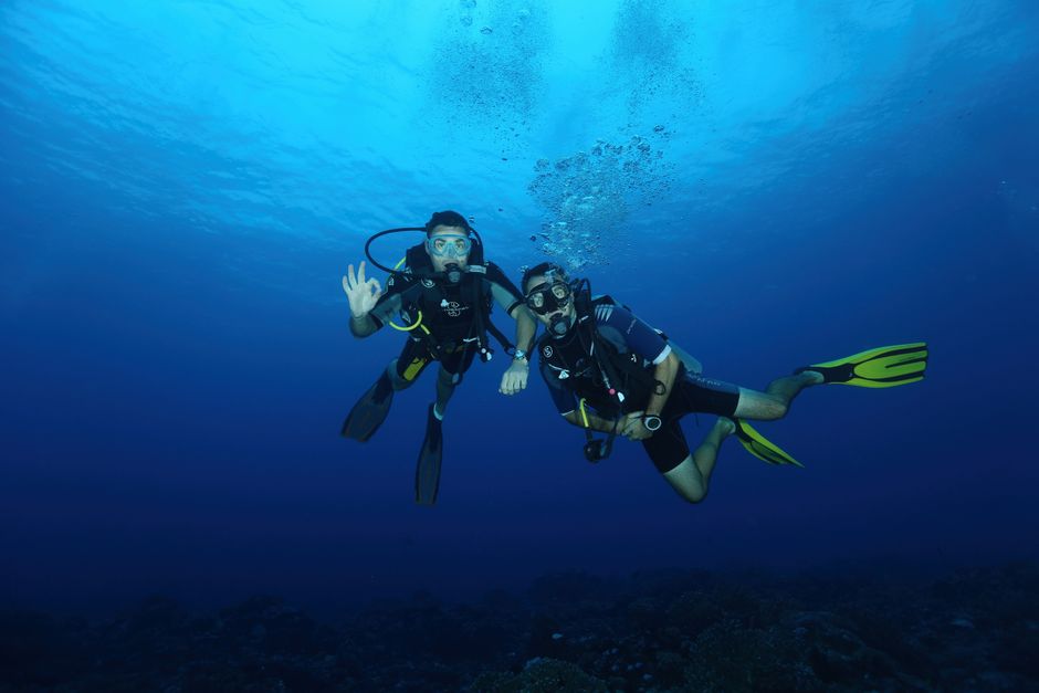 Plongée sous-marine en France : sites, niveaux, coûts et ce que les brochures taisent