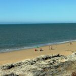 Recettes du littoral : coquillages, poissons et fruits de mer — les bases