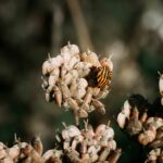 Slow living au bord de la mer : ce que le concept recouvre vraiment