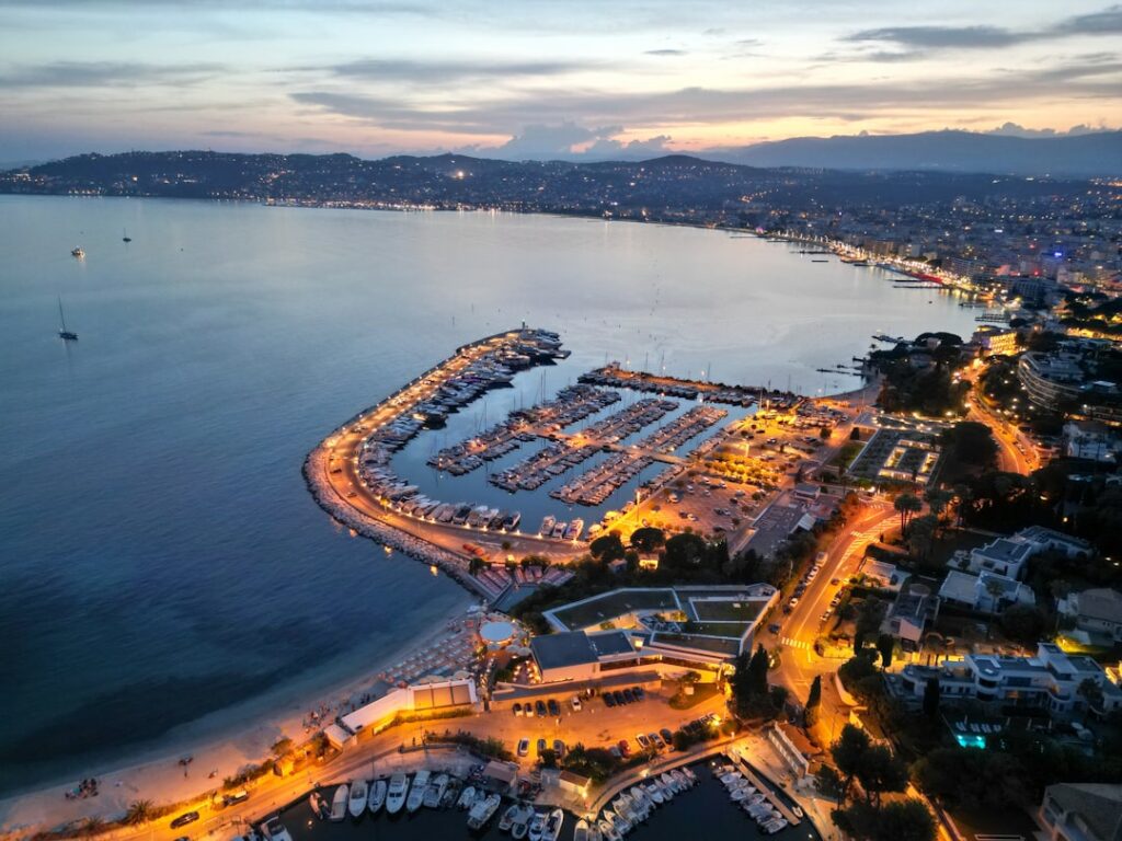 La Palme d&rsquo;Or