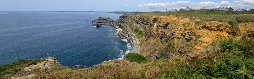 Cétacés du Golfe de Gascogne : entre survie et silence