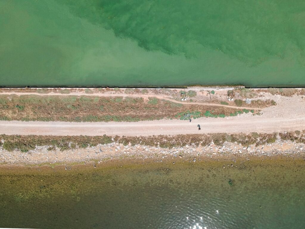 Zéro plastique sur les plages : ce qui marche vraiment en France