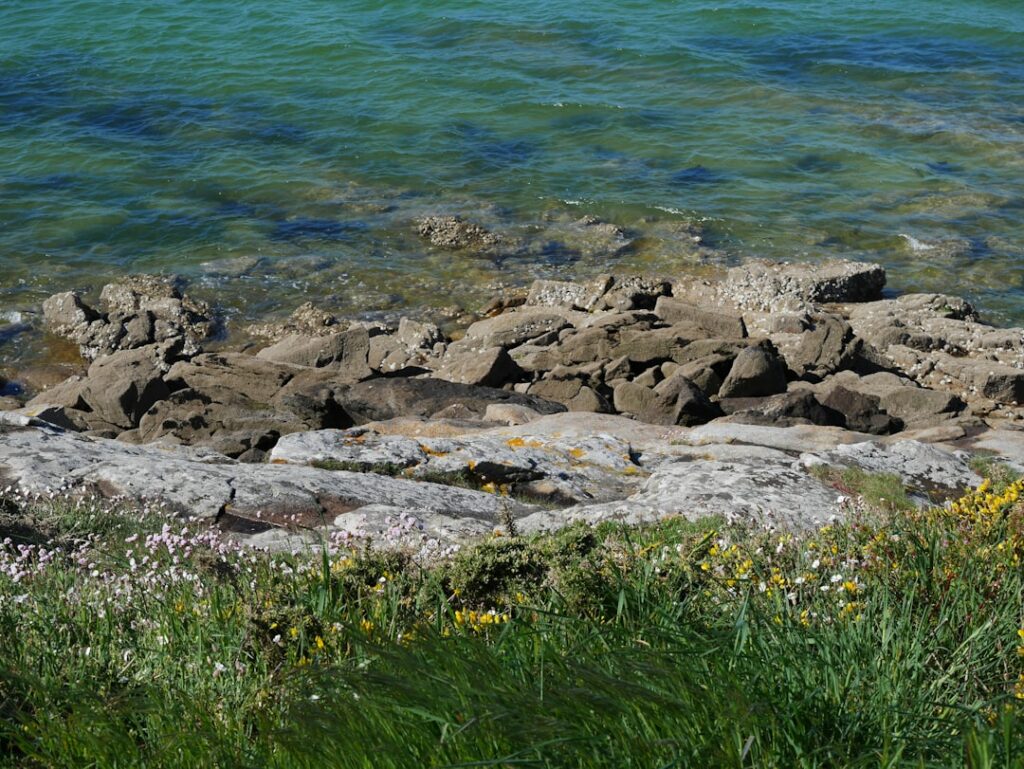 Plage de Saint-Colomban